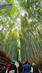 Kyoto