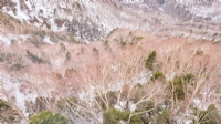 Shinhotaka Ropeway