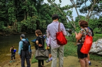 Mulu National Park