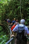 Mulu National Park