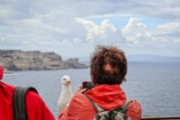 Bonifacio
